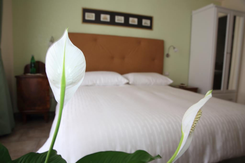Anice Guesthouse Řím Exteriér fotografie